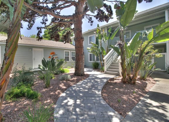 A garden with a pathway and a house in the background.