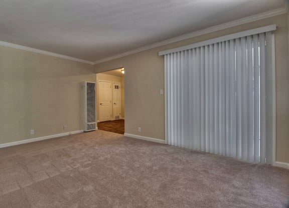 A room with a carpeted floor and a door leading to another room.