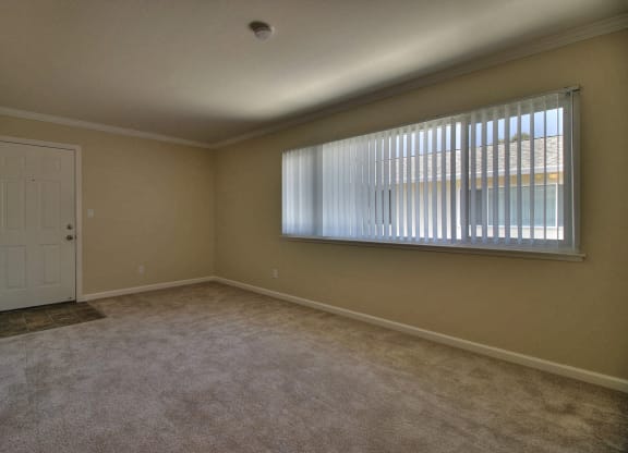 an empty living room with a large window and carpet