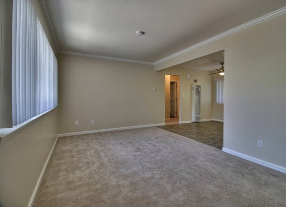 an empty living room with a large window and carpet