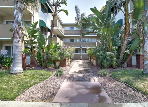 a walkway with palm trees in front of an apartment building