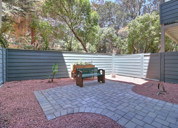A backyard with a bench and a small tree.