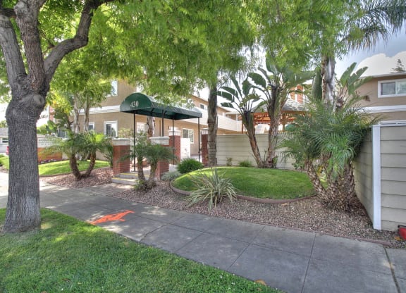A tree with a green canopy is in the front of a nuilding.