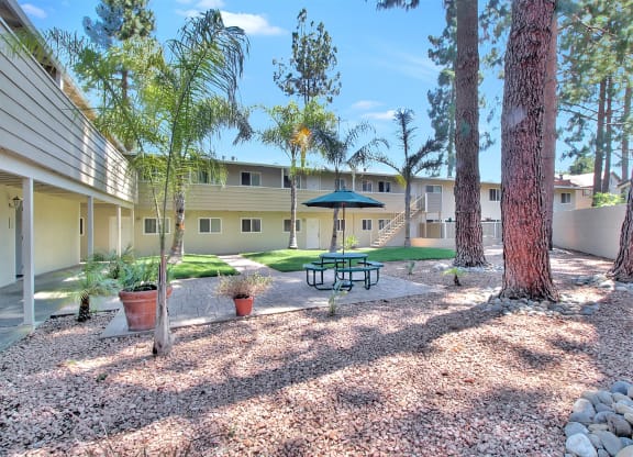 A sunny day at a residential area with a bench and trees.
