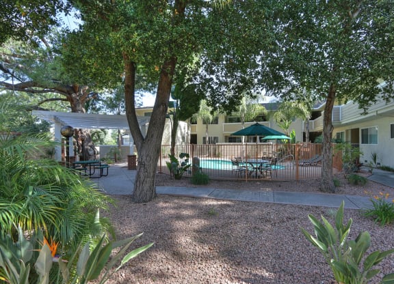 A tree in a yard with a table and chairs underneath it.