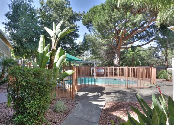 A backyard with a pool and a wooden fence.