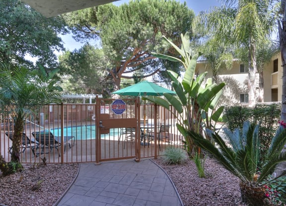 A pool surrounded by a fence and trees.
