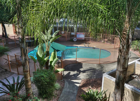 A pool surrounded by trees and plants.