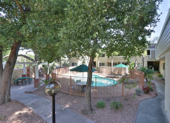 A pool surrounded by trees and a fence.
