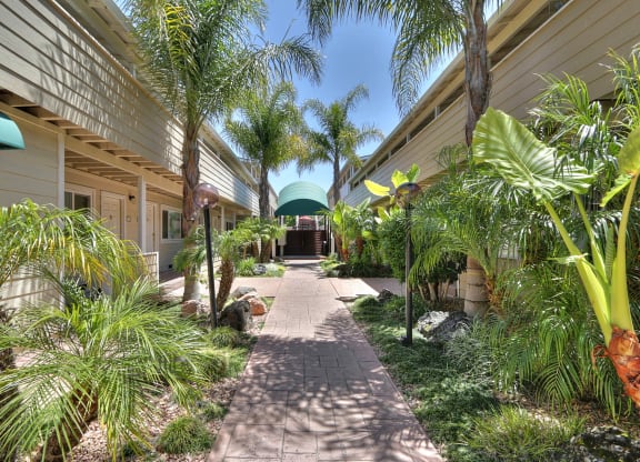 a courtyard with palm trees and a blue dome in the background