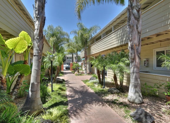 a walkway between two buildings with palm trees and plants