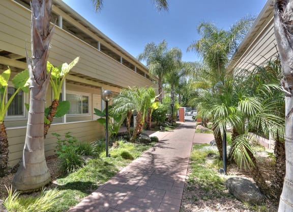 a sidewalk in front of a building with palm trees