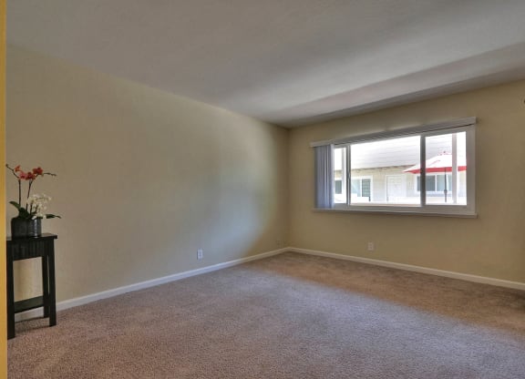 an empty living room with a large window and carpet