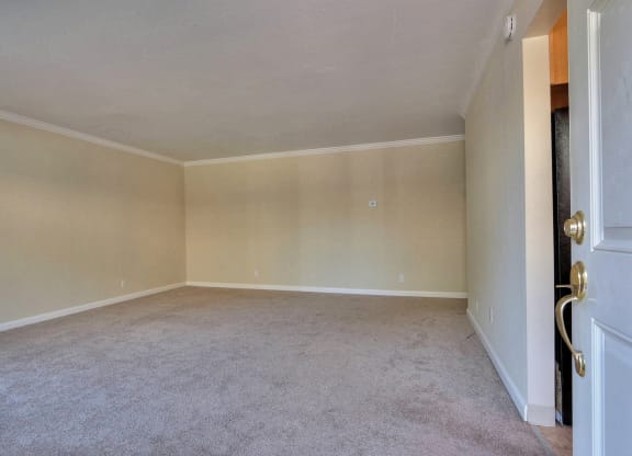 an empty living room with carpet and a door