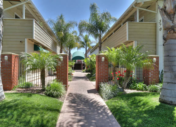 a walkway between two apartment buildings with palm trees and grass