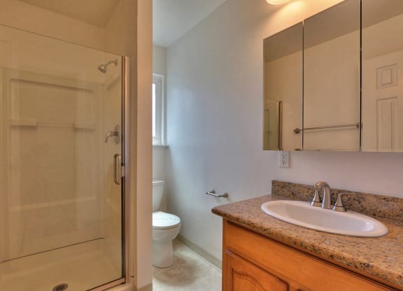 a bathroom with a sink and a shower and a toilet