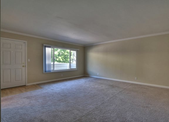 an empty living room with a window and carpet