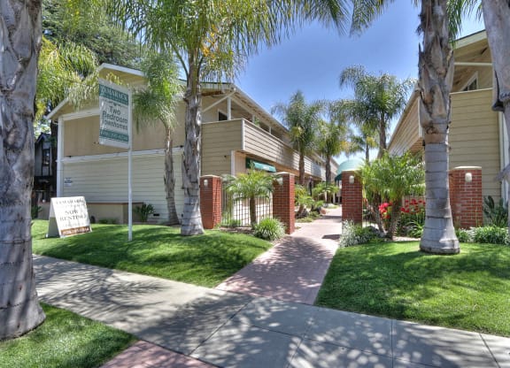 a sidewalk in front of a building with palm trees