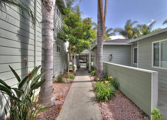 a walkway between two buildings with palm trees