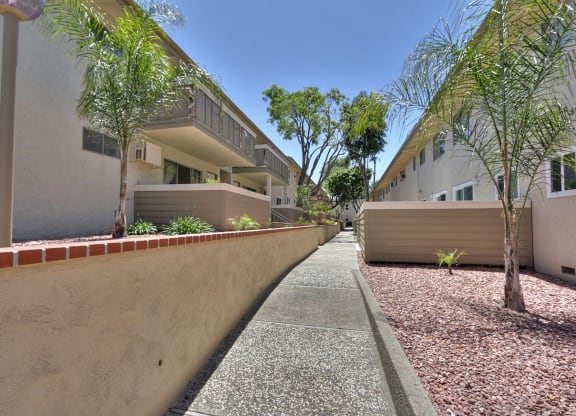 A long, narrow alleyway between two buildings with trees on either side.