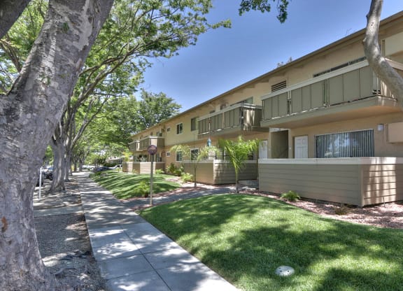 A row of houses with trees in front.