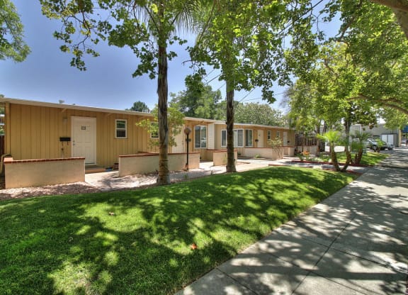 A row of houses with green trees in front.