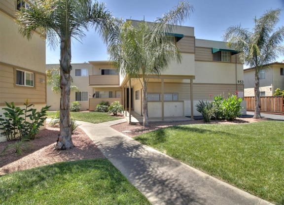 A sunny day at a residential area with apartment buildings and palm trees.