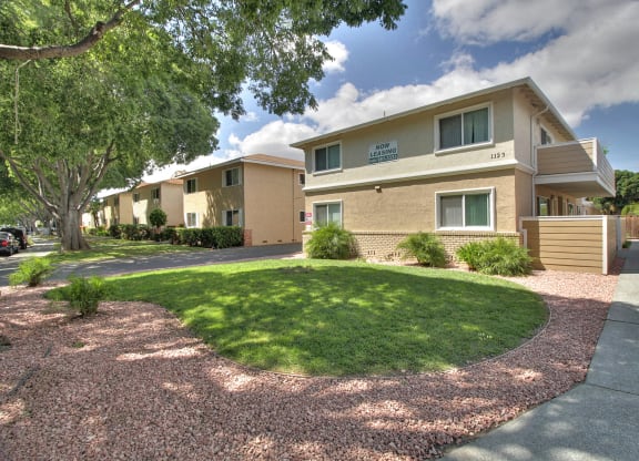 our apartments have a spacious yard with green grass and trees