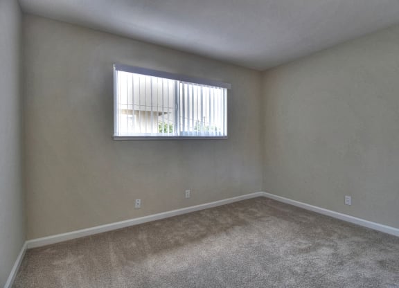 an empty living room with a window and carpet