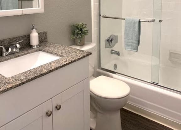 Bathroom with glass shower door