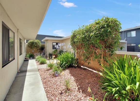 the front yard of a house with a walkway and plants