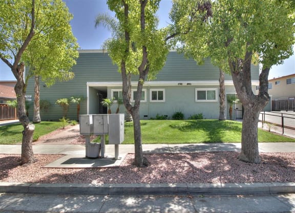 A house with a green exterior and a tree in front of it.