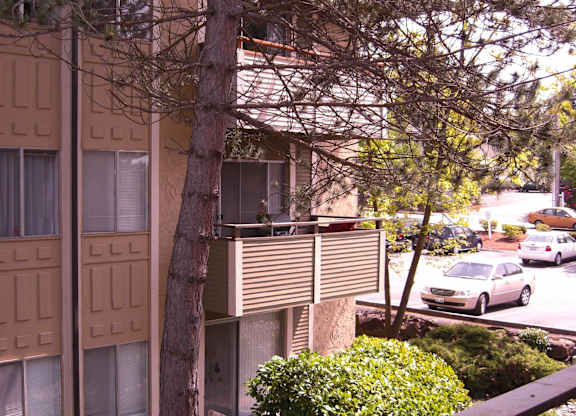 A tree in front of a tan building with a car parked in front of it.
