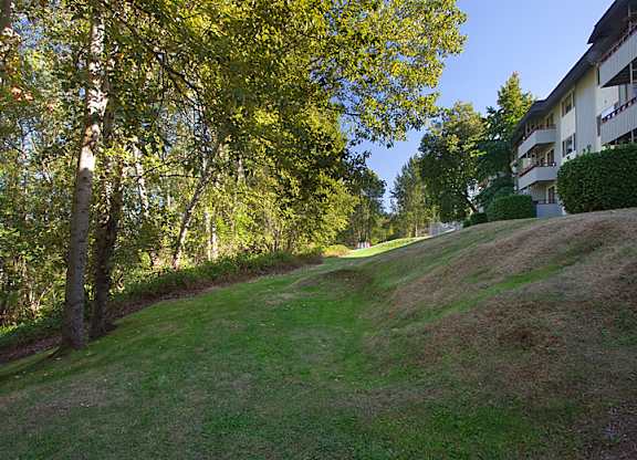 A grassy hill with trees and a building in the background.