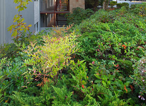 A house with a grey exterior and a balcony surrounded by greenery.