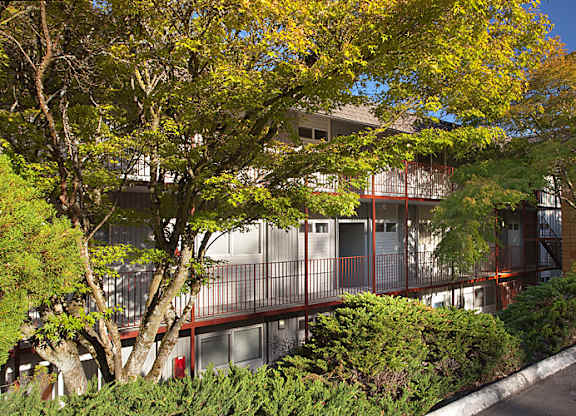 A tree with yellow leaves in front of a building.