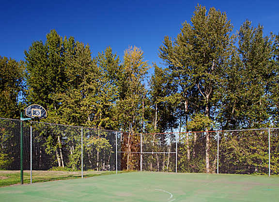 A tennis court surrounded by trees and a fence.