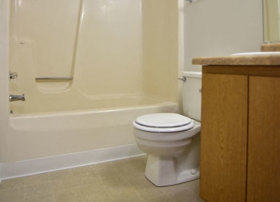 Garden Tub at Charter Oaks Apartments, Davison, MI, 48423
