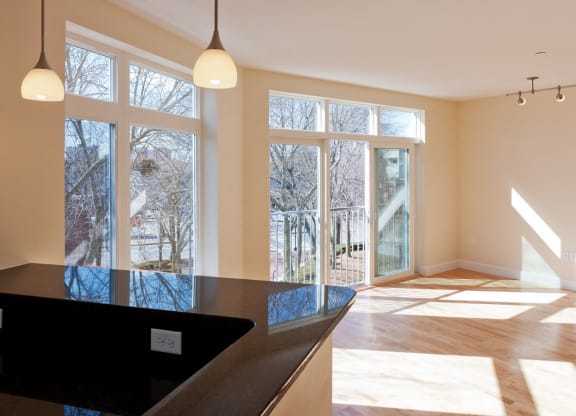 Oversize Windows at 7 Cameron, Cambridge, MA 02140