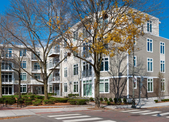 Beautiful Surroundings at 7 Cameron, Cambridge, MA 02140