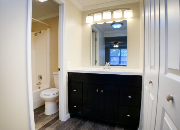 a bathroom with a toilet and a sink and a mirror at Wentworth Estates Apartments, Florence, 41042