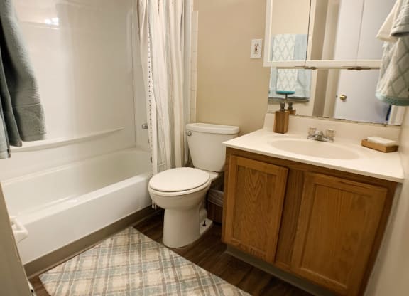 bathroom at Wentworth Estates Apartments, Florence, KY