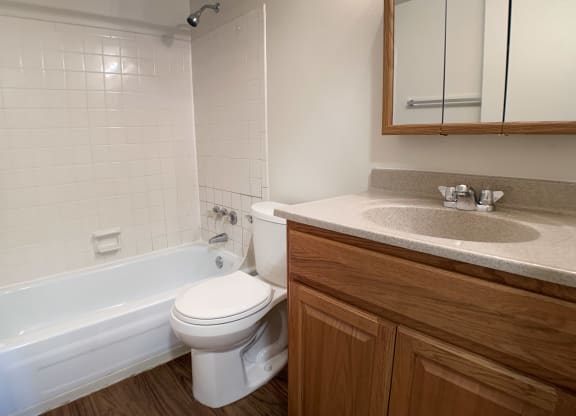 Bathroom With Bathtub  at Concord Woods Apartments, Milford, 45150