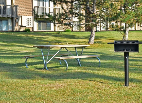 Grill And Picnic Table at Perry Place, Michigan
