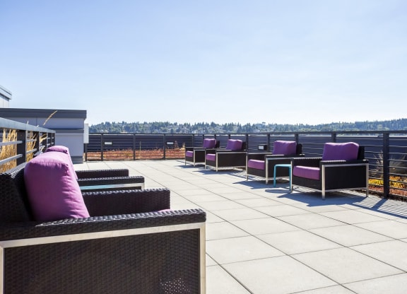 Rooftop Deck