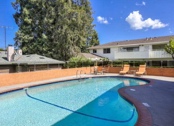 A swimming pool with a blue line in the middle.