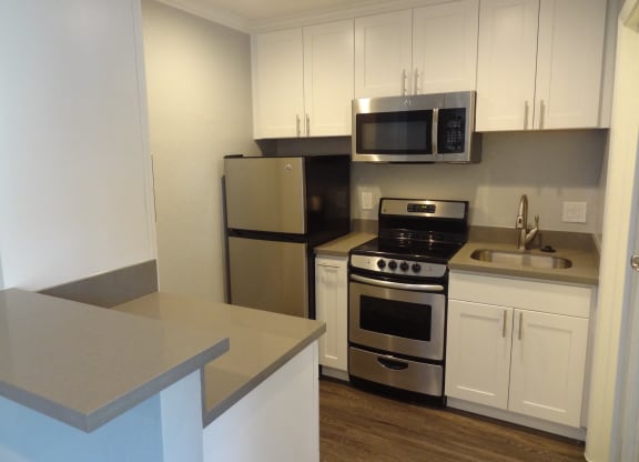 Sleek Stainless Steel Appliances at Los Altos Court, California