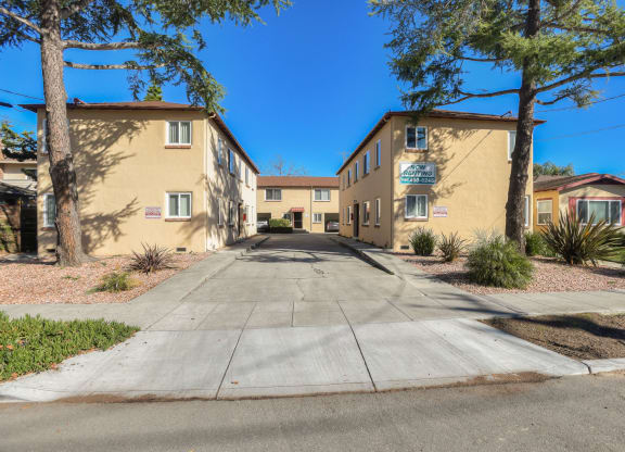 A sunny day in a quiet residential street with houses on both sides and a clear blue sky.