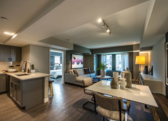 cambridge park apartment kitchen and living