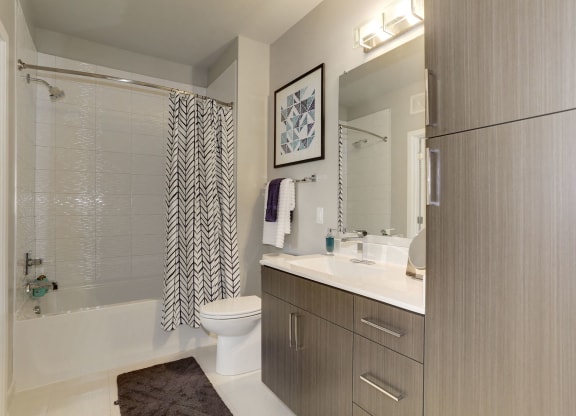 Bathroom at TENmflats, Columbia, Maryland